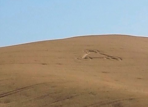 crop circle at Benicia | June 18 2014