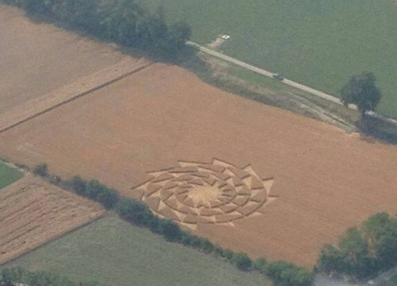 crop circle at Popham | June 21 2014