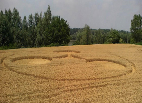 crop circle at Rea | June 21 2014