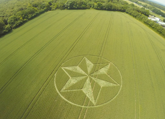 crop circle at Popham | June 21 2014