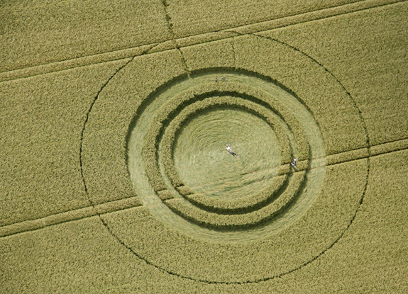 crop circle at West Kennett | June 22 2014