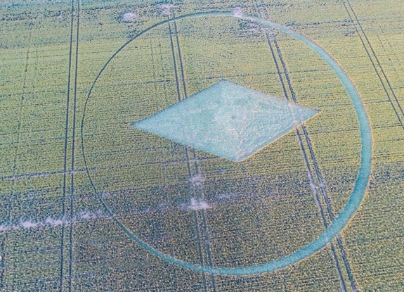 crop circle at Southend-on-Sea | June 22 2014