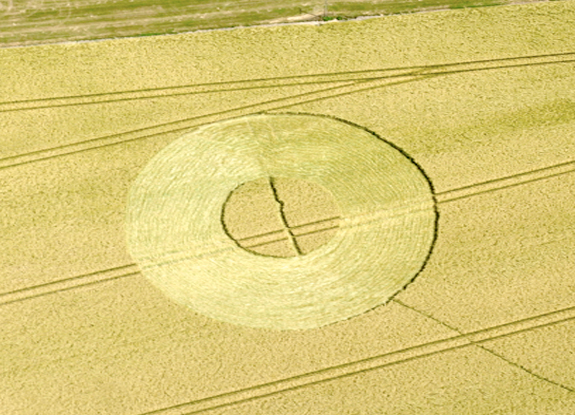 crop circle at West Kennett | June 24 2014