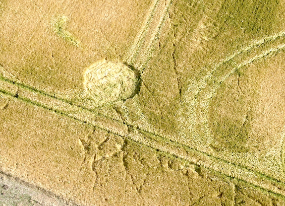 crop circle at withheld | June 29 2014