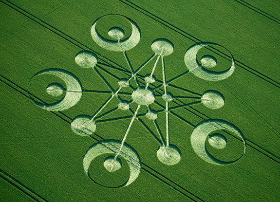 crop circle at Ackling Dyke | June 29 2014