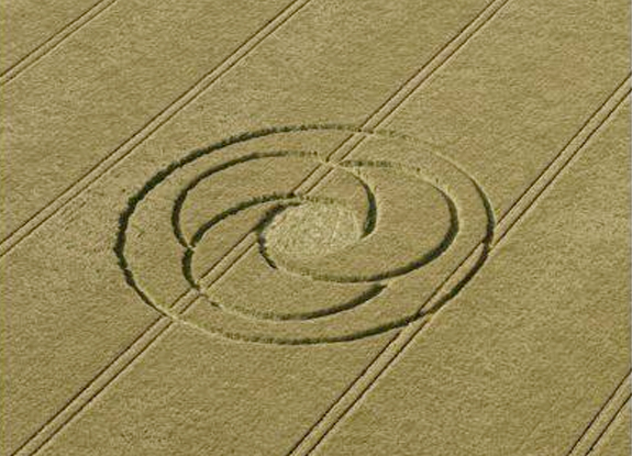 crop circle at withheld | June 29 2014