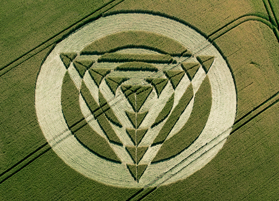 crop circle at Charlton | July 08 2014