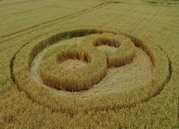 crop circle at Netherlands | July 09 2014