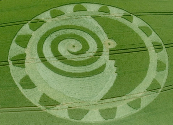 crop circle at Hackpen Hill | June 29 2014