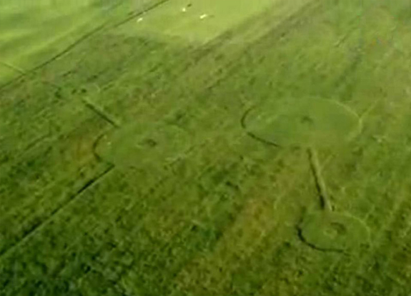 crop circle at Poland | July 12 2014