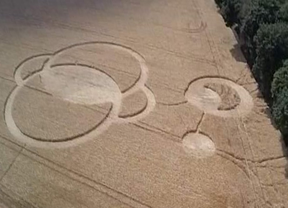 crop circle at Orchowo | July 12 2014