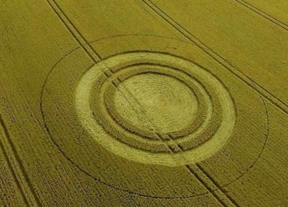 crop circle at West Kennett | July 13 2014