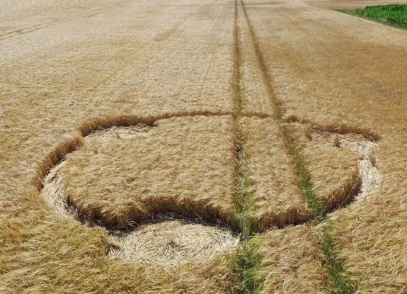 crop circle at Roosendaal | July 16 2014