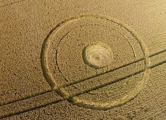 crop circle at Zevenbergen | July 16 2014