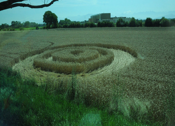 crop circle at Cessy | July 18 2014