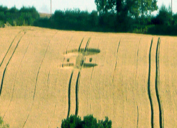 crop circle at Lilbourne | July 21 2014