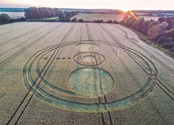 crop circle at Sutton Hall | July 24 2014