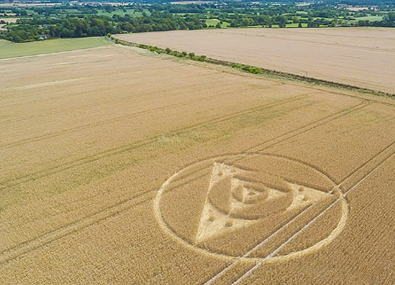crop circle at Etchilhampton | July 27 2014