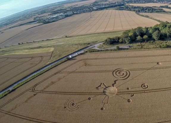 crop circle at Roundway Hill | July 30 2014