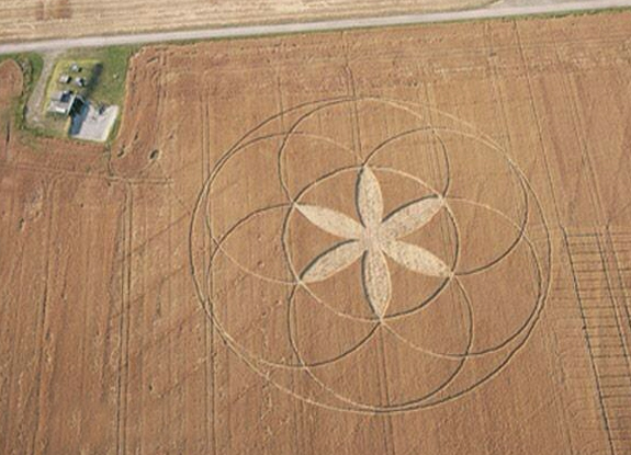 crop circle at Lund | August 3 2014