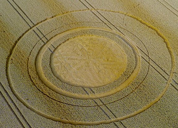 crop circle at Tichbourne | August 5 2014