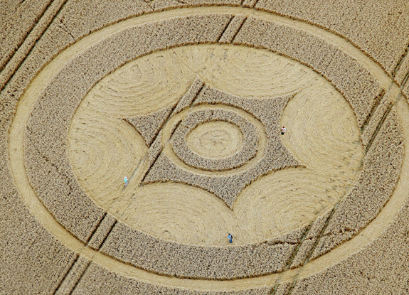 crop circle at Avebury | August 8 2014