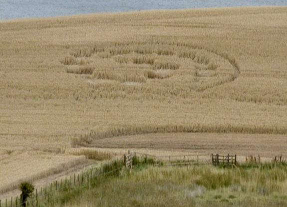 crop circle at Hawkhill | August 15 2014