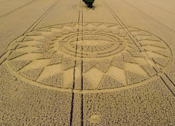 crop circle at Nettle Hill | August 16 2014