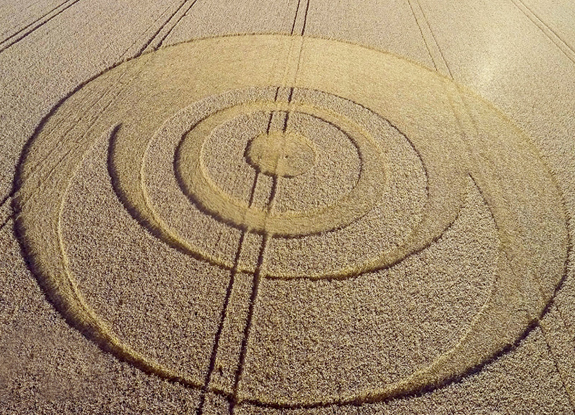 crop circle at Stroud Green | August 24 2014