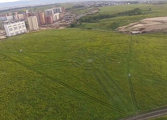 crop circle at Sunny | September 5 2014