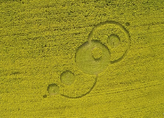 crop circle at Hoeven | September 11 2014