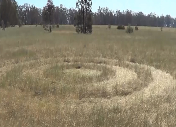 crop circle at Ben Nevis District | October 3 2014