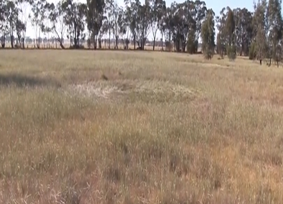 crop circle at Ben Nevis District | October 4 2014