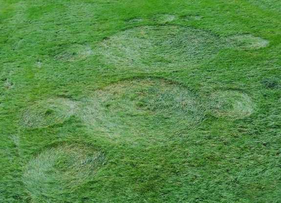 crop circle at Hoeven | November 6 2014