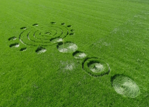 crop circle at Hoeven | April 28 2015