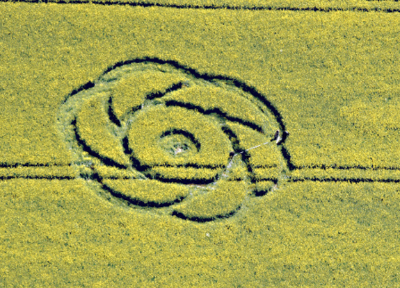 crop circle at Yatesbury | May 12 2015