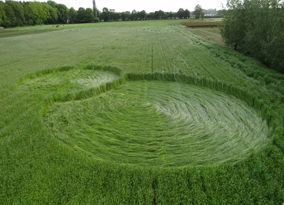 crop circle at Bosschenhoofd | May 19 2015