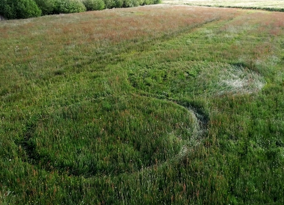 crop circle at Standdaardbuiten | May 19 2015