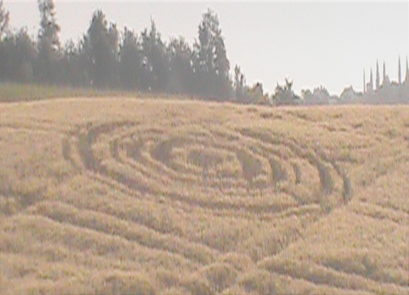 crop circle at Castelnuovo Berardenga | June 2 2015