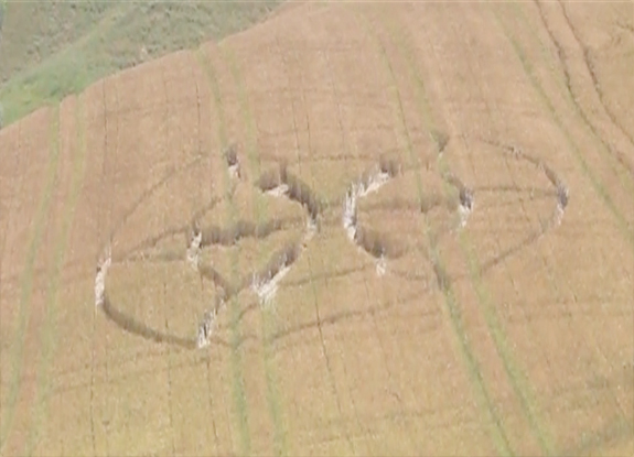 crop circle at Castelnuovo Berardenga | June 3 2015