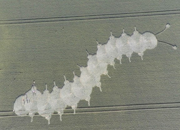 crop circle at Bettewaardsedijk | June 9 2015