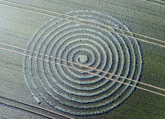 crop circle at Sherston | June 9 2015