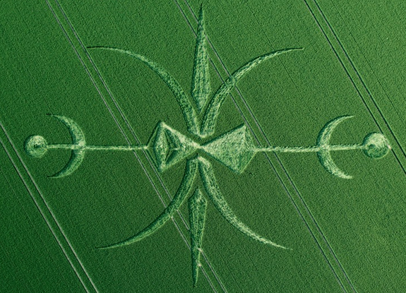 crop circle at Stoford | June 15 2015