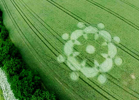 crop circle at Groziethen | June 22 2015