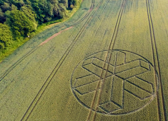 crop circle at Horsham | June 22 2015