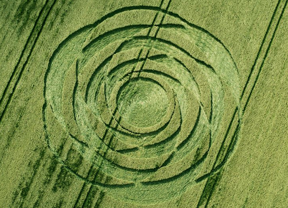 crop circle at Uffcott | June 22 2015