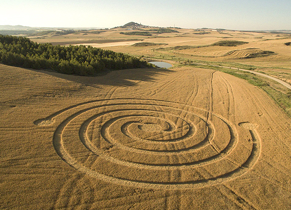 crop circle at Estella | June 25 2015