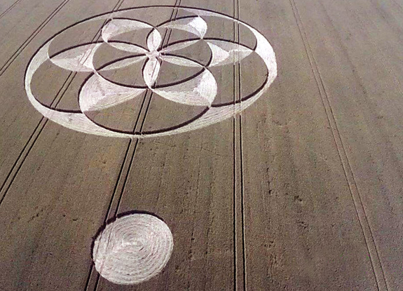 crop circle at Strzelno | June 30 2015