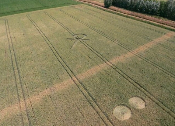 crop circle at Hoeven | July 4 2015