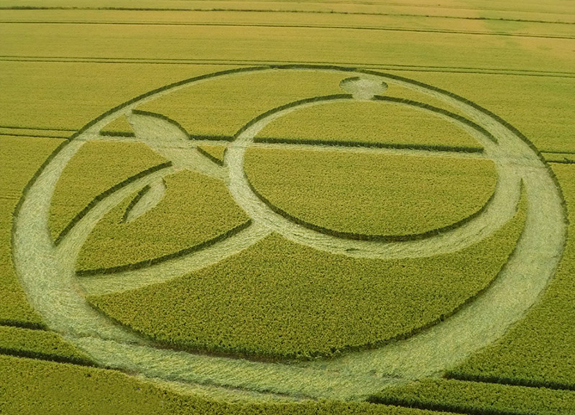 crop circle at Alton Barnes | July 13 2015